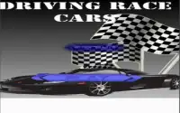 Race Car Driving Screen Shot 4