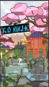 KO Ninja Screen Shot 0