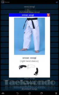 Taekwondo ITF Screen Shot 10