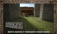 Pony Horse Maze Run Simulator Screen Shot 0