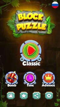 Block Puzzle: деревянный блок - игра-головоломка Screen Shot 23