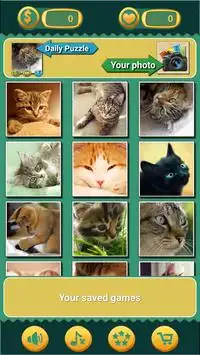 Jigsaw Puzzles Cats Screen Shot 0