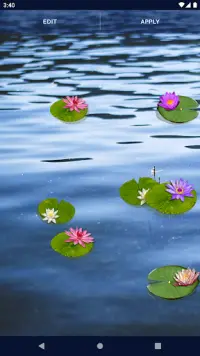 Water Lily Live Wallpaper Screen Shot 6