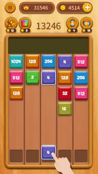 Block Shooter Wood Screen Shot 7