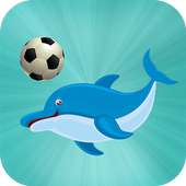 Dolphin Football Tampilkan