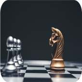 Chess Echecs 3D