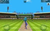 ICC CWC 2015 Mobile Game Screen Shot 3