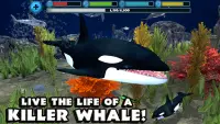 Orca Simulator Screen Shot 10