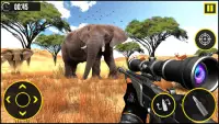 Tierjagd in Safaripark 2020: Gewehr Krieg Spiele Screen Shot 5