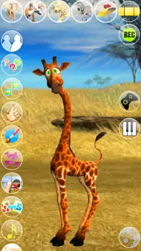 bercakap George yang Giraffe Screen Shot 0