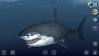 Talking Great White : My Pet Shark - Free Screen Shot 0