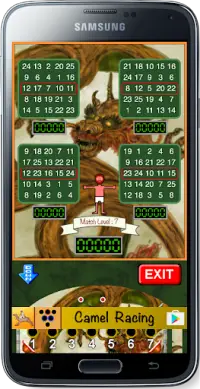 Bingo Pinball Dragon Screen Shot 1