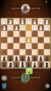Pokaa Chess Screen Shot 2