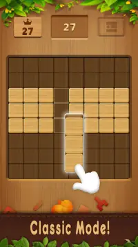 Wood Blocks Puzzle Game Screen Shot 2