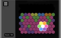 A Hexagonal Puzzle Game Screen Shot 8