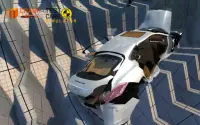 Cayenne Car Crash Test Screen Shot 3