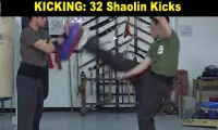 Shaolin Kung Fu Screen Shot 14