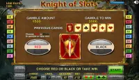 Knight of Slots Screen Shot 2