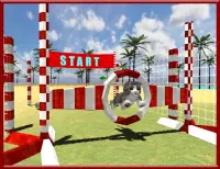 Cat Dog Pets Beach Stunts Sim Screen Shot 10