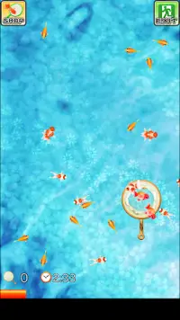 Shin Goldfish Scooping Screen Shot 1