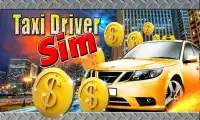Taxi Driver Sim Screen Shot 0