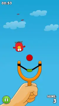 Bird Shooter Screen Shot 3