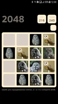 Owl 2048 Screen Shot 2