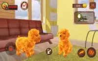 Teddy Dog Simulator Screen Shot 16