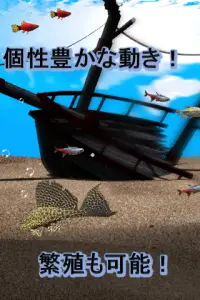 <Tropical fish breeding> smart AQUARIUM  FREE Screen Shot 1