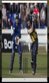 Juegos de Críquet Screen Shot 0