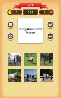 Horse Quiz Screen Shot 11