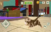 Meow Kitty - Idle Cat Simulator Vs Rat Simulator Screen Shot 2