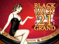 Blackjack 21 Grand Screen Shot 1