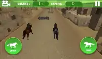 Horse Racing 3D Advance Screen Shot 2