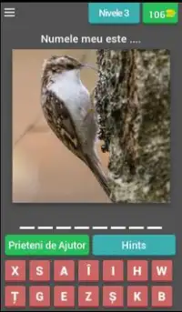 test de păsări Screen Shot 3