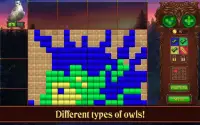 Pixel art. Color cross in the Owls' Kingdom Screen Shot 23
