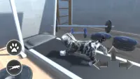 Cat Simulator 🐱 3D Screen Shot 2