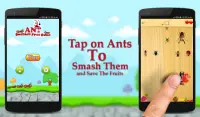 AntSmasherゲーム Screen Shot 6