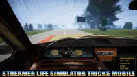 Tricks Streamer Life Simulator Screen Shot 1