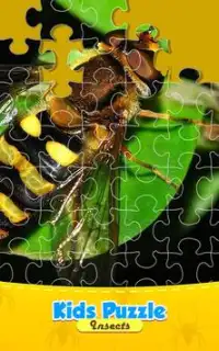 Insect Life Jigsaw Puzzle Game Screen Shot 0