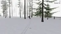 Alpine Ski III Screen Shot 11