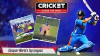 Cricket Games - Guess Game Screen Shot 2
