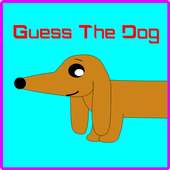 Guess the Dog