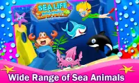 Sea Life Adventures Screen Shot 1