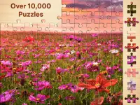 Jigsaw Puzzles - puzzle games Screen Shot 7