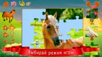 Пазлы про лошадей Screen Shot 4