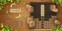 Wood block puzzle brain games Screen Shot 2