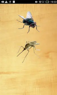 insectos por aplastamiento Screen Shot 0