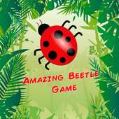Amazing Beetle Game