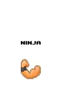 Ninja Flex Screen Shot 1